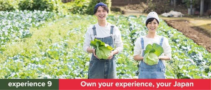 Experience Local Life in Japan!