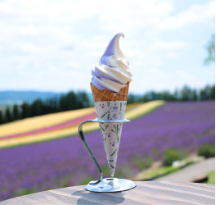 ice cream and lavenders bloom in Farm Tomita