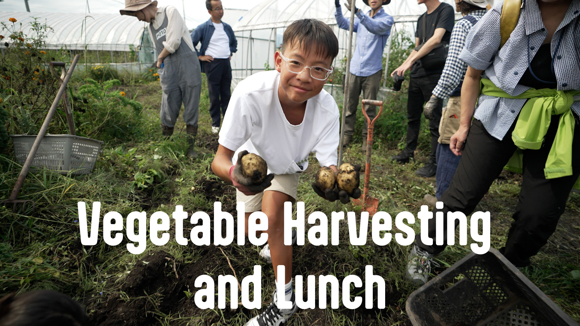 Vegetable Harvesting and Lunch ​