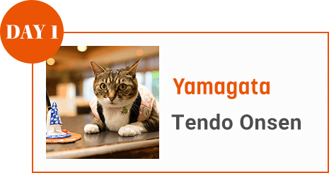 DAY 1 Yamagata Tendo Onsen