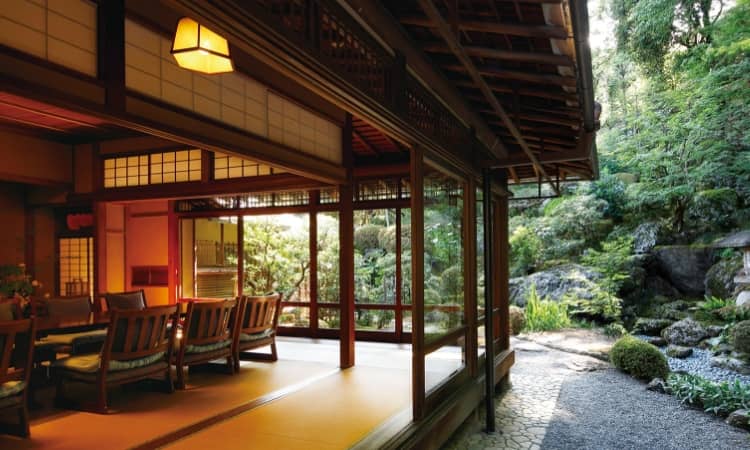 Tranquil Dining Experience in Japan