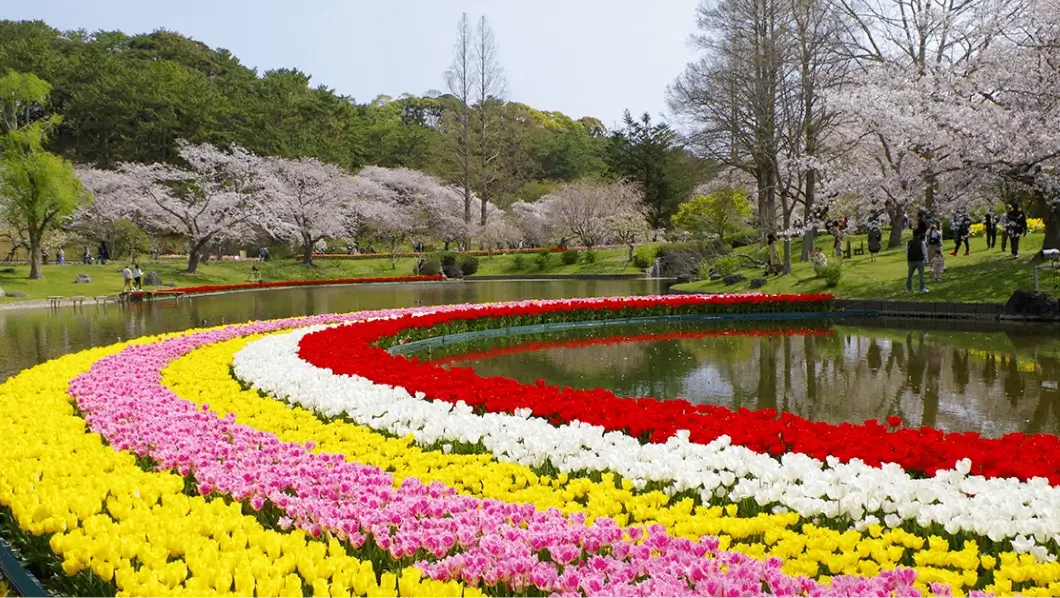 Hamamatsu Flower Park Shizuoka Prefecture Japan