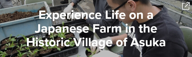 Experience Life on a Japanese Farm in the Historic Village of Asuka