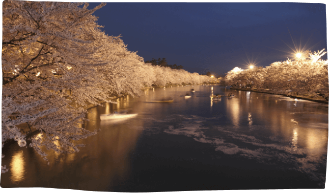 Snow and Cherry Blossoms of Aomori Japan