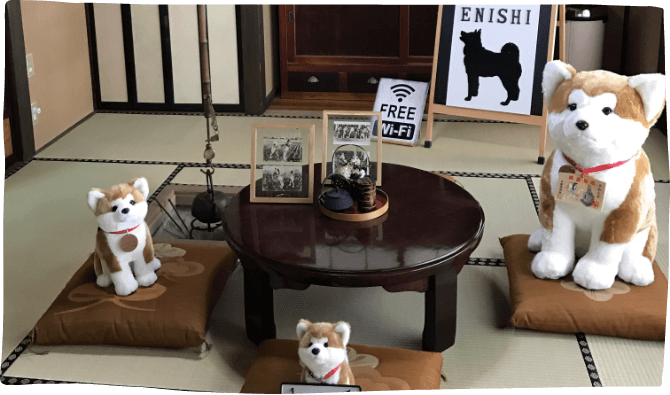 Akita Inu Iconic Dogs of Japan at Enishi Homestay