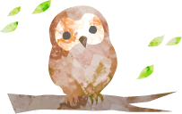 OWL Image