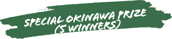 Special Okinawa Prize (5 winners)