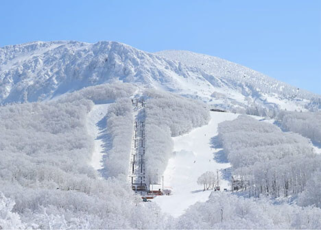 Mt. Zao Skiing