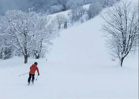 Gifu Ski Resorts