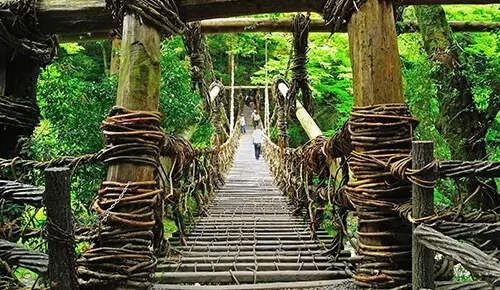 Vine Bridges in the Iya Valley Japan